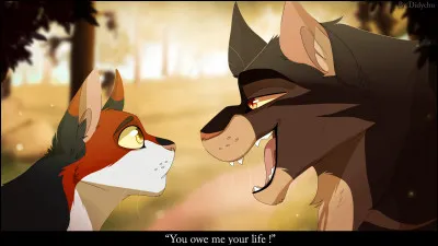 Qui &eacute;tait le lieutenant du Clan du Tonnerre apr&egrave;s la mort de Plume Rousse ?