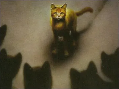 Qui &eacute;tait le premier apprenti qu'&Eacute;toile de Feu a nomm&eacute; guerrier ?