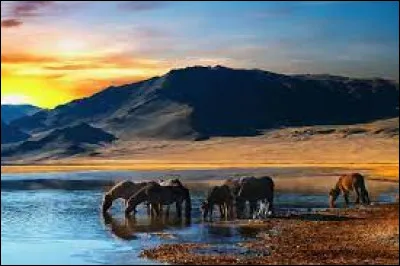 Oulan-Bator est la capitale d'un pays asiatique.