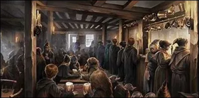 Tu vas ensuite sur le Chemin de Traverse avec Luna. Elle te dit qu'elle va rejoindre ses amies au Chaudron Baveur et elle te propose de l'accompagner. Que réponds-tu ?