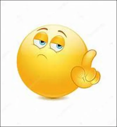 Si tu as répondu "Non" à la question précédente : 
pourquoi ?