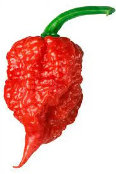 Quel est le nom du piment le plus fort du monde ?