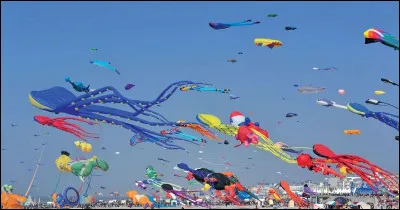 Vous pourrez voir les cerfs-volants sur la plage de Berck-sur-Mer :