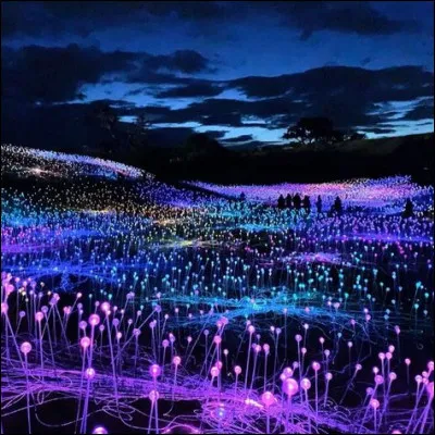 De quel pays la revue "Lumière" vient-elle ?