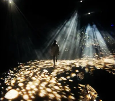 En quelle année Liane Foly sortait-elle "Lumières" ?