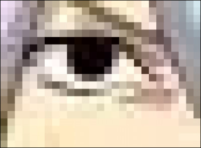 À qui appartiennent ces yeux ?