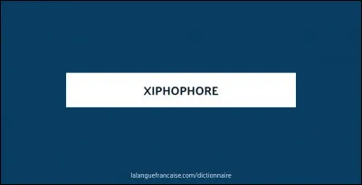 Quest-ce quun xiphophore ?