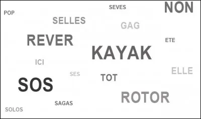 Comment appelle-t-on un mot que lon peut lire dans les deux sens ?