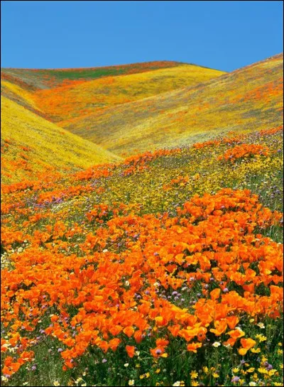 En Auvergne-Rhône-Alpes, lequel de ces départements trouverez-vous ?