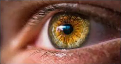 De quelle couleur sont tes yeux ?