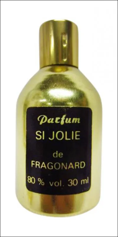 Elle est bien trop jolie - Et toi je te connais - L'aimer toute une vie - Tu ne pourras jamais !