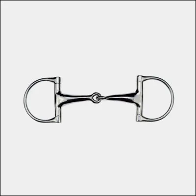 Quel est le nom (de l'anneau) de ce mors ?