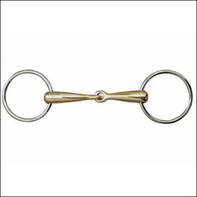 Quel est le nom (du canon) de ce mors ?