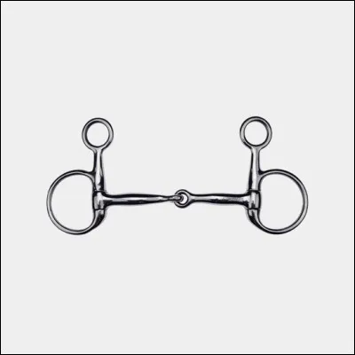 Quel est le nom (de l'anneau) de ce mors ?