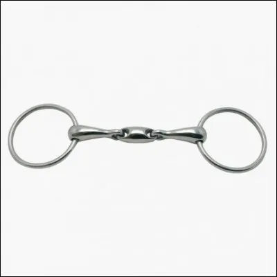 Quel est le nom (du canon) de ce mors ?