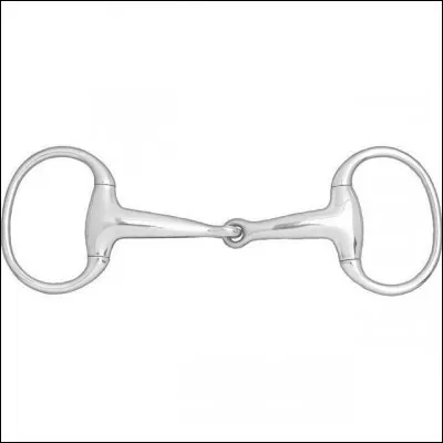 Quel est le nom (de l'anneau) de ce mors ?