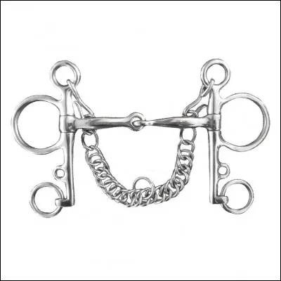 Quel est le nom de ce mors ?