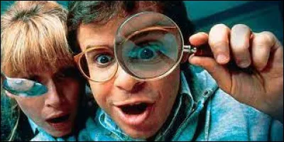 Parmi ces propositions, laquelle est une suite du film "Chérie, j'ai rétréci les gosses" ?