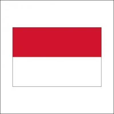 À quel pays appartient ce drapeau ?