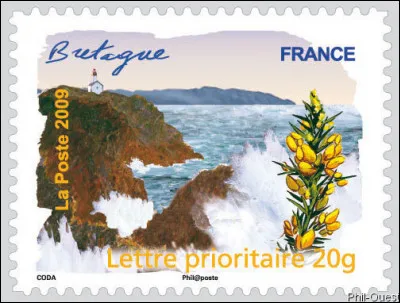 Vos g***, les mouettes !