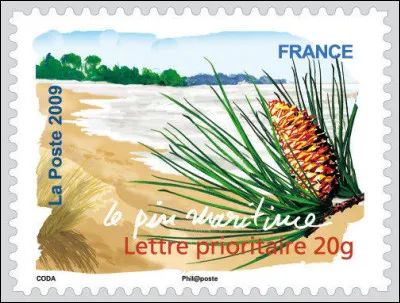 On ne le mange pas, mais on peut cuisiner avec, en ... (Complétez !)