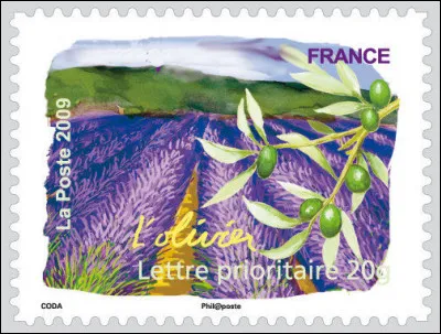 Ils ne pensent pas qu'à l'olive, tout de même !