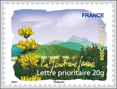Ce n'est pas le moment de tombez dans puy, surtout ! Il faut que je vous fasse un d'estaing, peut-être ?