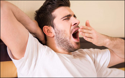 Par Dragonslayerwendy.20 : Quel est le seul mammifère qui ne baille pas ?