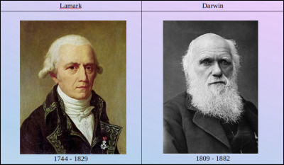 Jean-Baptiste de Lamarck et Charles Darwin sont deux naturalistes qui ont chacun un point de vue différent sur l'évolution des êtres vivants. Qu'essaie de démontrer Darwin ?