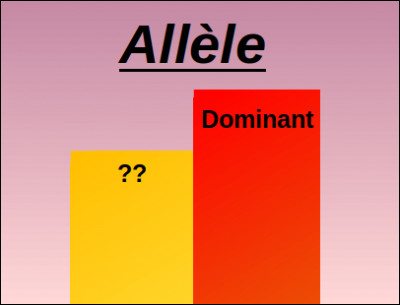 Si un allèle n'est pas dominant par rapport à un autre, on dit qu'il est :