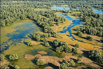 La Slavonie se trouve en ...