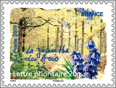 Et où trouve-t-on cette fameuse jacinthe, je vous le donne en m... ?