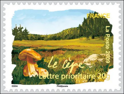 "Le cèpe : parfois il est dur, parfois ... " (Complétez la phrase !)