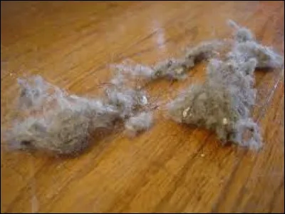 Le Sublaire est une race de...