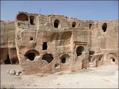 Le r&eacute;telet est un des noms vulgaires du...