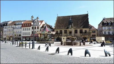 Molsheim et Erstein sont des villes du d&eacute;partement :