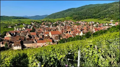 Vous pourrez visiter le village de Riquewihr entour&eacute; de son vignoble dans le ...