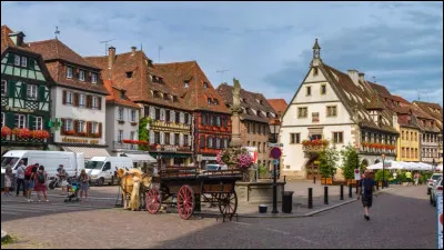 Vous pourrez visiter la ville d'Obernai dans le ...