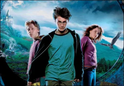 Divertissement : comment s'appelle le meilleur ami de Harry Potter ?
