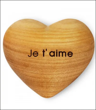 Qui chante "Tout" et "Immortelle" ?