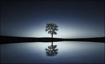 Quel est l'antécédent de la proposition subordonnée relative dans la phrase ci-dessous ? 
Le lac dont je t'ai parlé est habité.