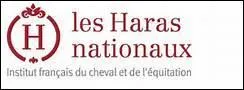 Comment les Haras nationaux nomment-ils cette robe ?