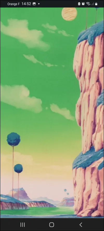 Qu'est-ce que tu pr&eacute;f&egrave;res sur Namek ?
