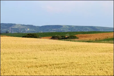Dans quel pays se trouve la Voïvodine ?