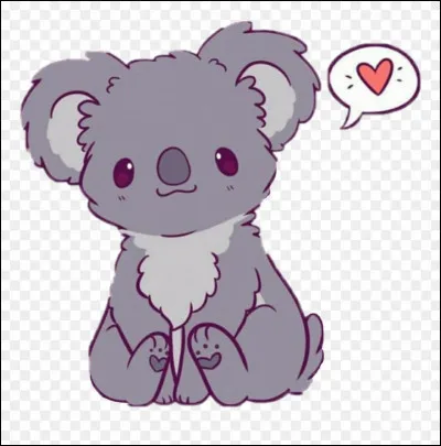 Koala : Comment est aussi appelé cet animal ?