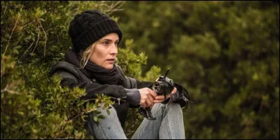 Quelle est cette actrice qui a reçu le prix d'interprétation féminine en 2017 pour son rôle dans "In the Fade", de Fatih Akın ?