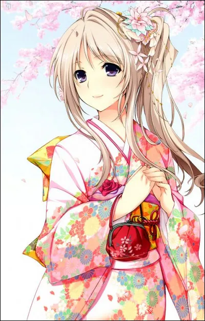 Que signifie manga ?