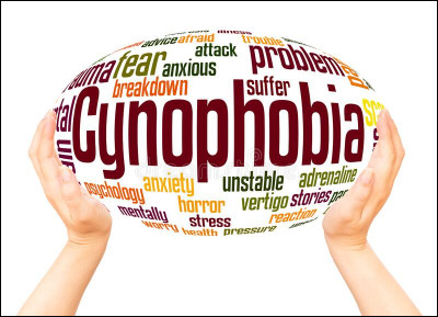 Qu'est-ce que la cynophobie ?