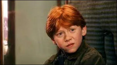 Qui joue le r&ocirc;le de Ronald Weasley dans "Harry Potter" ?