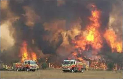 Comment les incendies de végétation du Victoria de 2009 sont-ils aussi appelés ?